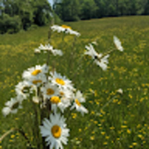 Meet your Posher, Tessa